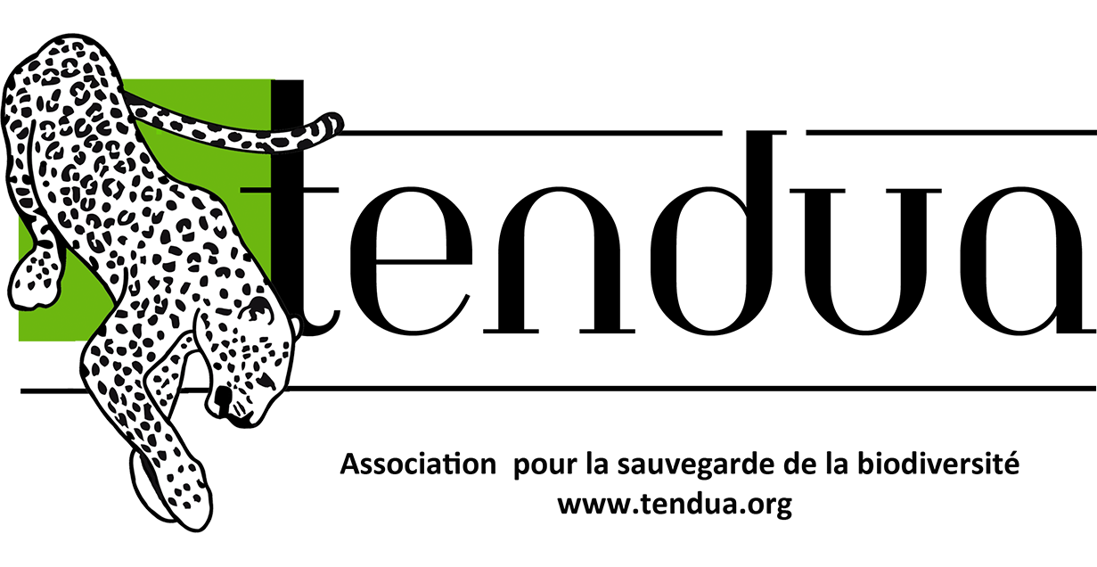 Tendua Partenaires Dodo Palmé | Plongée Scientifique Réunion Tendua Partenaires Dodo Palmé | Plongée Scientifique Réunion