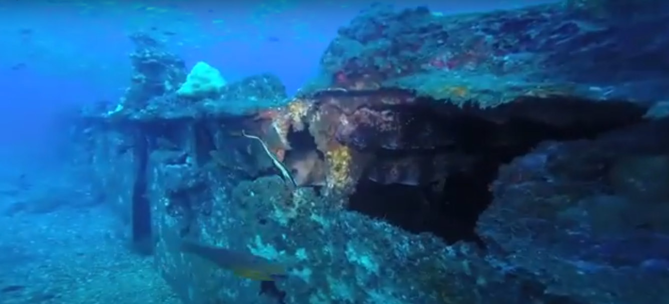Spot épave La Barge ou La Tonne | Site de Plongée Réunion